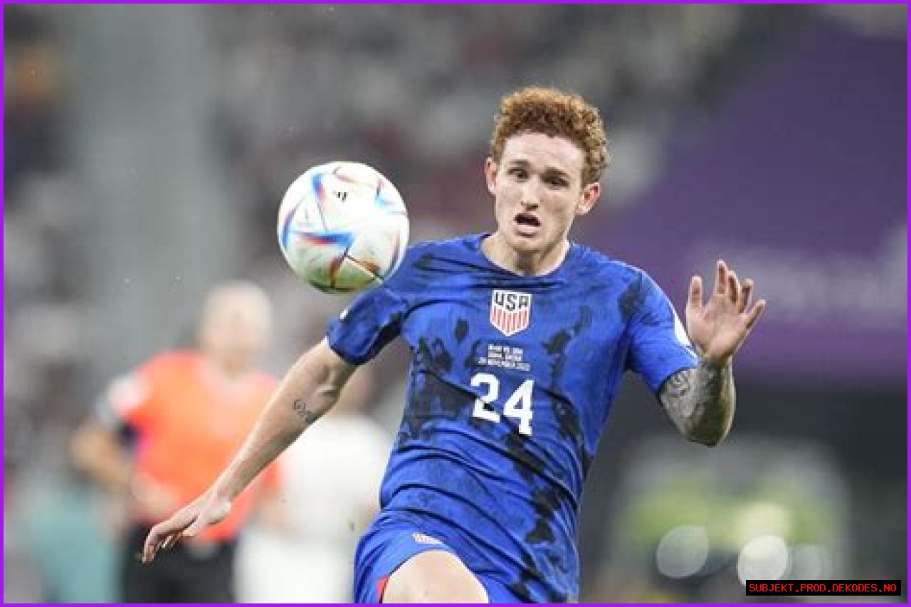 Josh Sargent (Soccer Player) - العمر ، تاريخ الميلاد ، السيرة الذاتية ، الحقائق ، الأسرة ، صافي الثروة ، الطول والمزيد
