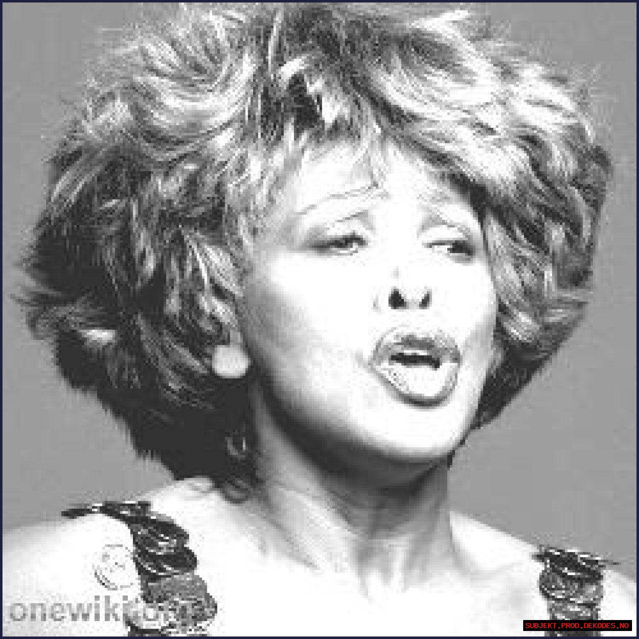 Tina Turner (Rock Singer) - Age, Birthday, Bio, Facts, Family, Net Worth, Height & More